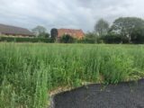 Maison à construire à Saint-Omer (62500) 2248872-1587annonce120250822IrReT.jpeg Maisons France Confort