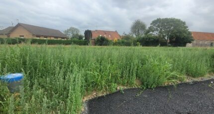 Saint-Omer Maison neuve - 2248872-1587annonce120250822IrReT.jpeg Maisons France Confort