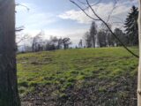 Terrain à bâtir à Grangues (14160) 2248476-11216annonce220250821KkwRw.jpeg Maisons France Confort