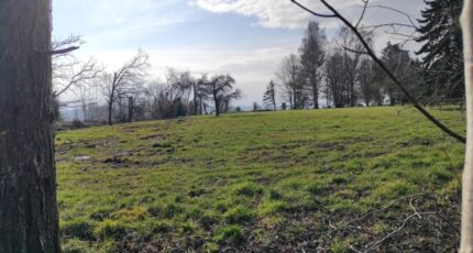 Grangues Terrain à bâtir - 2248476-11216annonce420250821JBpWN.jpeg Maisons France Confort