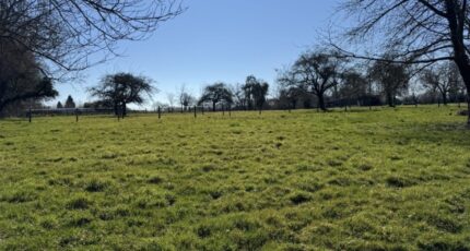 La Houblonnière Terrain à bâtir - 2248600-11216annonce120250822GwaVM.jpeg Maisons France Confort
