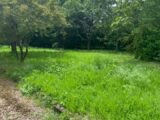 Terrain à bâtir à Soyaux (16800) 2249961-11045annonce420250121ghUa0.jpeg Maisons France Confort
