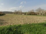 Maison à construire à Vieillevigne (31290) 2249143-5771annonce120250822s8L1e.jpeg Maisons France Confort