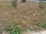 Terrain à bâtir à Aigues-Vives (11800) 2250308-10986annonce120250825u5OOO.jpeg Maisons France Confort