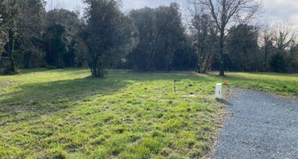 Saint-Vaize Terrain à bâtir - 2250774-11194annonce320250826EEZlK.jpeg Maisons France Confort