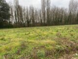 Terrain à bâtir à Montpellier-de-Médillan (17260) 2250795-11194annonce120250826vwg8O.jpeg Maisons France Confort