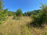 Terrain à bâtir à Lorgues (83510) 2250813-10122annonce120250826pfTBI.jpeg Maisons France Confort