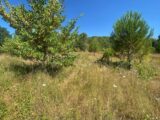 Terrain à bâtir à Lorgues (83510) 2250813-10122annonce220250826iHRT9.jpeg Maisons France Confort