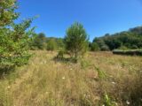 Terrain à bâtir à Lorgues (83510) 2250813-10122annonce320250826kqtBf.jpeg Maisons France Confort