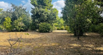Draguignan Terrain à bâtir - 2250851-4529annonce220250826tbwMO.jpeg Maisons France Confort