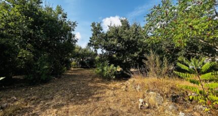 Draguignan Terrain à bâtir - 2250851-4529annonce320250826NEa9y.jpeg Maisons France Confort
