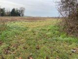 Terrain à bâtir à Saint-Hippolyte (17430) 2250967-11194annonce120250826TJFza.jpeg Maisons France Confort