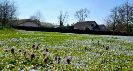 Hauteville-sur-Fier Terrain à bâtir - 2251271-10163annonce120250327b8xUA.jpeg Maisons France Confort