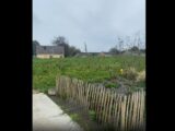 Terrain à bâtir à Cany-Barville (76450) 2251596-11168annonce120250826Xmnc1.jpeg Maisons France Confort