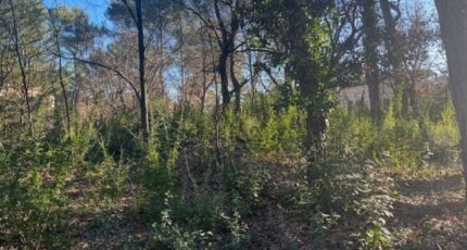 Gréasque Terrain à bâtir - 2252477-7060annonce420250827gxZtG.jpeg Maisons France Confort