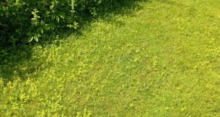 Le Teich Terrain à bâtir - 2252472-11244annonce320250827Q5CZk.jpeg Maisons France Confort