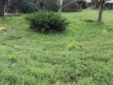 Terrain à bâtir à Cubnezais (33620) 2248051-11131annonce320250821iFwP3.jpeg Maisons France Confort