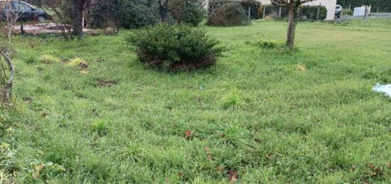 Terrain à bâtir à Cubnezais, Nouvelle-Aquitaine