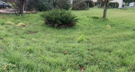 Cubnezais Maison neuve - 2251856-11131annonce320250821iFwP3.jpeg Maisons France Confort
