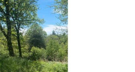 Fontiers-Cabardès Terrain à bâtir - 2253042-10986annonce220250828lliKu.jpeg Maisons France Confort