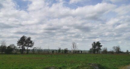 Landiras Terrain à bâtir - 2253382-9573annonce1202508283P0oD.jpeg Maisons France Confort
