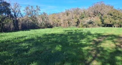 Le Barp Terrain à bâtir - 2254146-11358annonce120250829UcIh1.jpeg Maisons France Confort