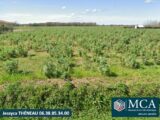 Terrain à bâtir à Onard (40380) 2254413-5828annonce120250829h2yhM.jpeg Maisons France Confort