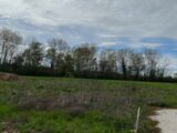 Terrain à bâtir à Viterbe (81220) 2254258-2684annonce320250829GUENJ.jpeg Maisons France Confort