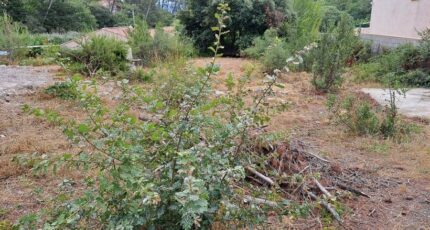 Cadolive Terrain à bâtir - 2255111-11041annonce120250830PiWnX.jpeg Maisons France Confort