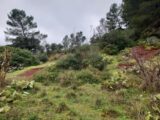 Terrain à bâtir à Gonfaron (83590) 2173779-11137annonce320250131qUvGT.jpeg Maisons France Confort