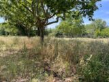 Terrain à bâtir à Tourrettes (83440) 2179404-10140annonce320250604VXVrr.jpeg Maisons France Confort