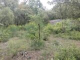 Terrain à bâtir à Flassans-sur-Issole (83340) 2184862-9891annonce1202506091mpb3.jpeg Maisons France Confort