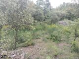 Terrain à bâtir à Flassans-sur-Issole (83340) 2184862-9891annonce220250609Z9aMk.jpeg Maisons France Confort