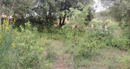Flassans-sur-Issole Terrain à bâtir - 2184862-9891annonce5202506097Ne0m.jpeg Maisons France Confort