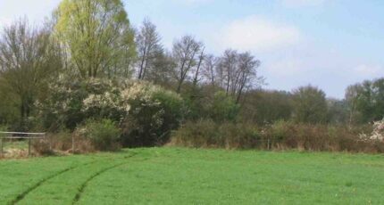 Attainville Terrain à bâtir - 2188990-11143annonce120250612LgOwL.jpeg Maisons France Confort