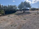 Maison à construire à Cournonterral (34660) 2192124-11040annonce120250614dc8S1.jpeg Maisons France Confort