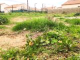 Terrain à bâtir à Pouzolles (34480) 2201589-11018annonce420250623x7E7C.jpeg Maisons France Confort