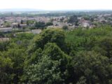 Terrain à bâtir à Bourg-Saint-Andéol (07700) 2201924-812annonce420241105RchfN.jpeg Maisons France Confort