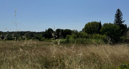 Aubais Maison neuve - 2201884-11455annonce120250623wdJRp.jpeg Maisons France Confort