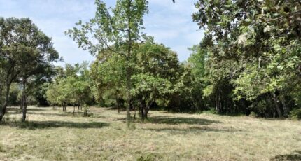 Baudinard-sur-Verdon Maison neuve - 2201995-9891annonce420250623T91aK.jpeg Maisons France Confort