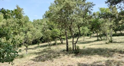 Baudinard-sur-Verdon Maison neuve - 2201995-9891annonce2202506239oJqM.jpeg Maisons France Confort