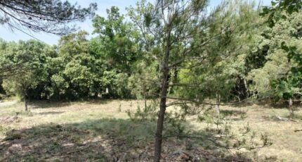 Baudinard-sur-Verdon Maison neuve - 2201995-9891annonce320250623XqE9n.jpeg Maisons France Confort