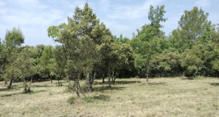 Baudinard-sur-Verdon Maison neuve - 2201995-9891annonce120250623gtMDT.jpeg Maisons France Confort