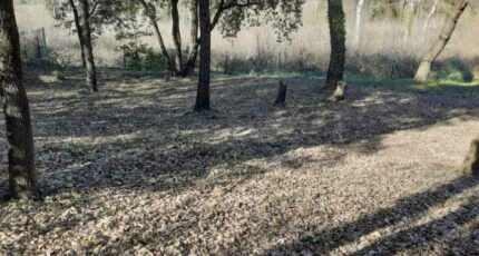Brignoles Terrain à bâtir - 2183953-9879annonce3202506064wLLT.jpeg Maisons France Confort