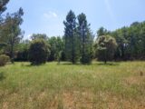 Terrain à bâtir à Régusse (83630) 2173007-9891annonce220250527TcaTK.jpeg Maisons France Confort