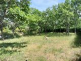 Terrain à bâtir à Régusse (83630) 2181389-9891annonce120250605Ew8lN.jpeg Maisons France Confort