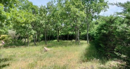 Régusse Terrain à bâtir - 2181389-9891annonce220250605XdhT3.jpeg Maisons France Confort