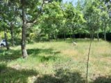 Terrain à bâtir à Régusse (83630) 2181389-9891annonce3202506052omiJ.jpeg Maisons France Confort