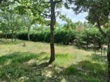 Terrain à bâtir à Régusse (83630) 2181389-9891annonce420250605fFm8X.jpeg Maisons France Confort
