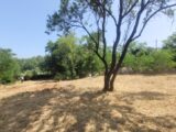 Terrain à bâtir à Bollène (84500) 2218166-812annonce320250708swDCE.jpeg Maisons France Confort